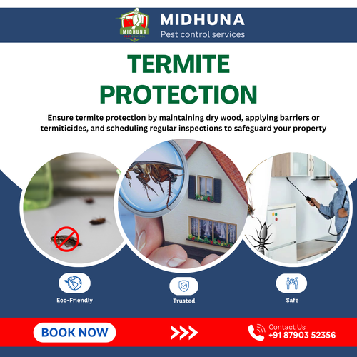 Concerned about termites?.png