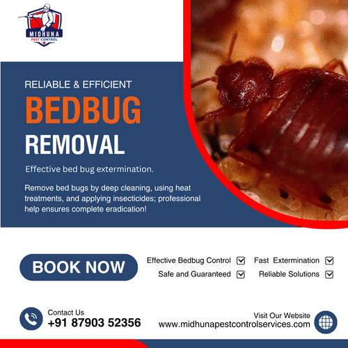 Need bed bug removal?.png