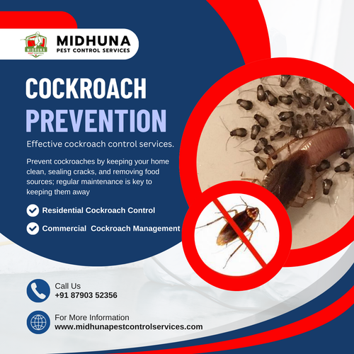 Prevent cockroach infestations with Midhuna Pest Control in Hyderabad.png