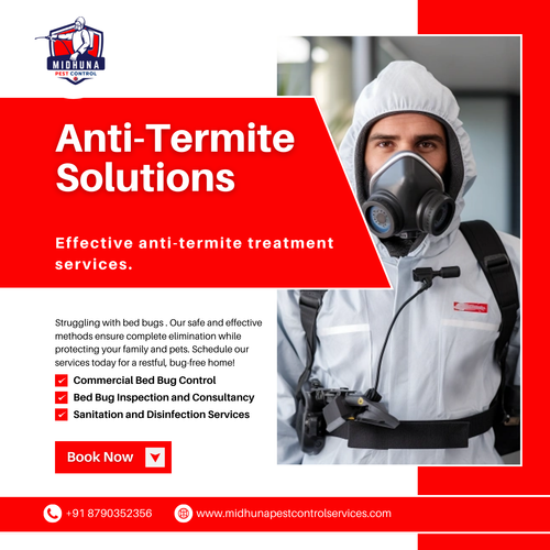 Looking for anti-termite treatment?.png