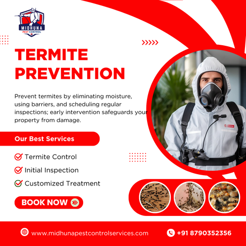 Worried about termites?.png