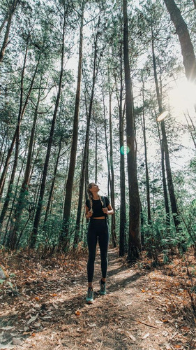 56. Summer Hiking ergebnis.jpg