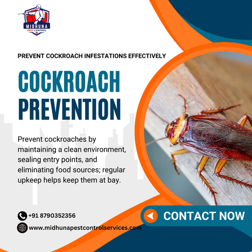 Prevent cockroach infestations with Midhuna Pest Control in Hyderabad..png