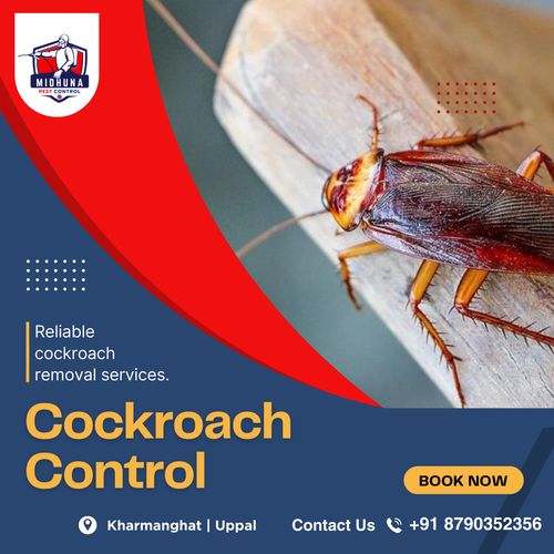 Cockroaches can be a serious problem in any home..png