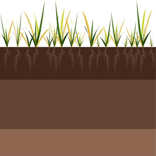 lawn aeration.png