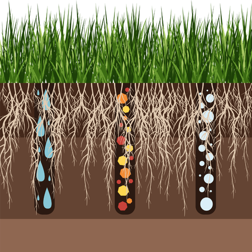 lawn aeration 3.png