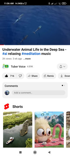 Underwater Animal life.jpg