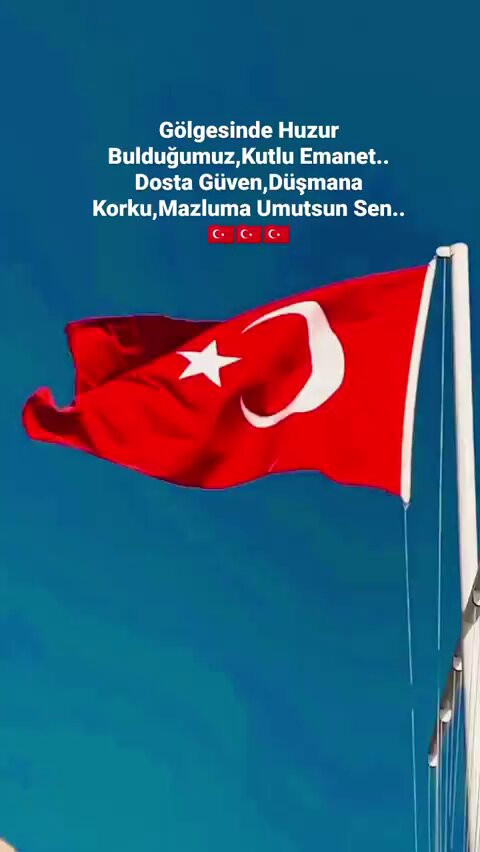 3k6pZMyG 3nw 9aT.jpg