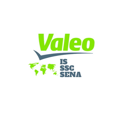 VAleo Service desk (68).png
