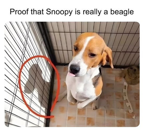 457873256 452208834466736 8751303625302958867 n.jpg