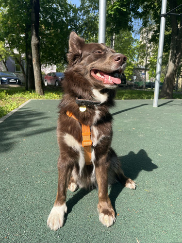 1725528539 15598902.jpg