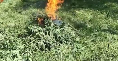 7798598773830969875?url=https%3A%2F%2Ftirananews.al%2Fwp content%2Fuploads%2F2024%2F09%2FCapture 21..jpg