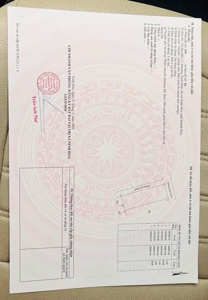 458288424 1679297132923611 40084803042174187 n.jpg