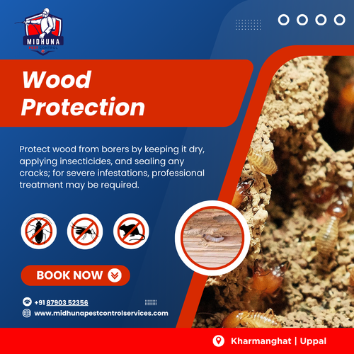 Worried about woodborers? Get expert control with Midhuna Pest Control in Hyderabad..png