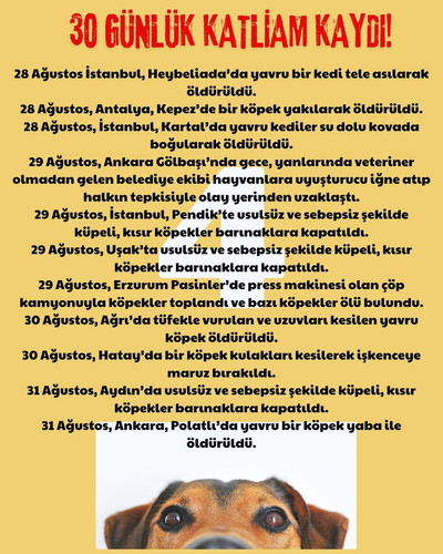 GWpe8IOWEAAo iy?format=jpg.jpg