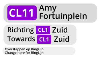 Amy fortuinplein.png