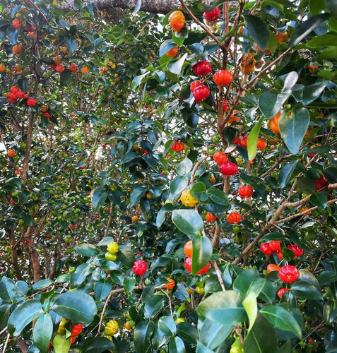 GWXMc7sXEAAH B2?format=jpg.jpg