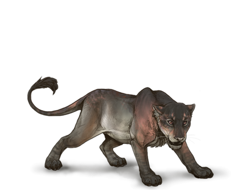 descarga (3).png