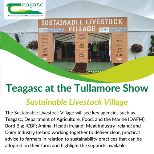 GUoXD6MWIAAzR j?format=jpg.jpg