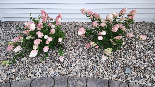 GUqbSJnXMAAWt u?format=jpg.jpg