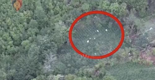 15571043403270297043?url=https%3A%2F%2Fmedia.oranews.tv%2Foranews.tv%2Fmedia3%2F 1200 630 shkjpg 172.jpg