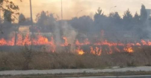 15697897333619642838?url=https%3A%2F%2Fshqiptarja.com%2Fuploads%2F539x308%2F1723292643 zjarrr.JPG%3F.jpg