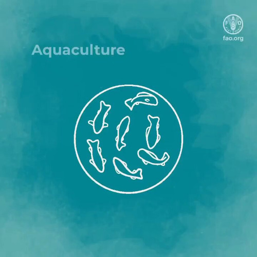 qjqI41lkr4Mwv9 0.jpg