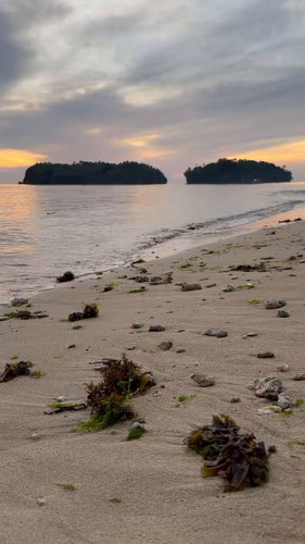 i6PS3tITn s0UckB.jpg