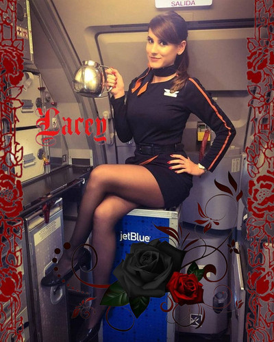 flight attendant.jpg