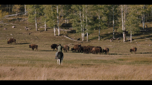 vlcsnap 2024 08 10 18h06m39s138.png