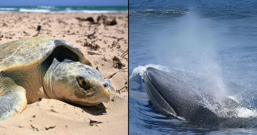 GUVR9TbWUAAwK 4?format=jpg.jpg