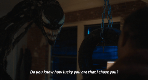 v2 261.gif