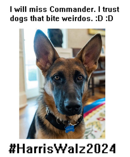 GUpTv1rXoAAU q8?format=jpg.jpg