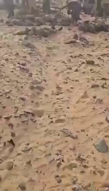 AVudNIo9YtJjj TP.jpg