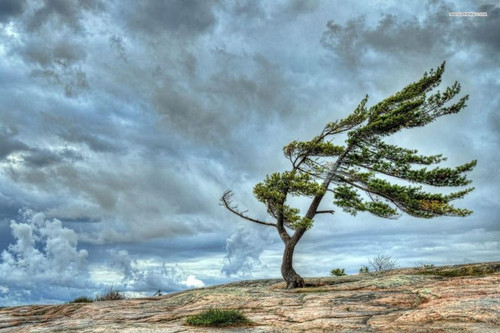 454737787 2747301352099784 6332788518800356280 n.jpg?stp=dst jpg p180x540& nc cat=105&ccb=1 7& nc si.jpg