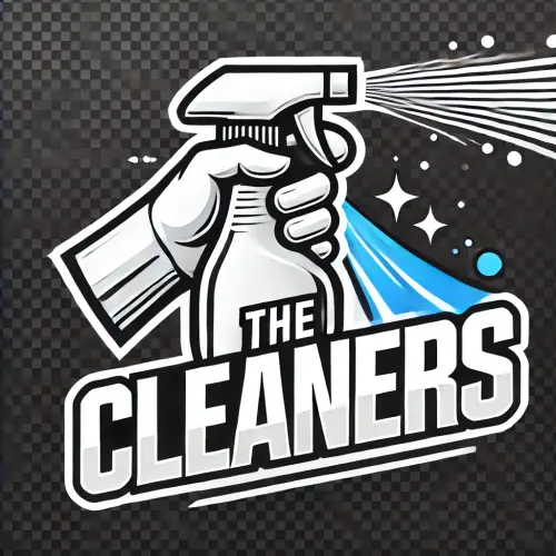 DALL·E 2024 08 10 23.29.02 A modern and edgy logo for a cleaning company named 'The Cleaners.' The l.webp