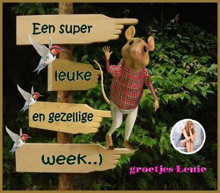 Gezellige week.jpg