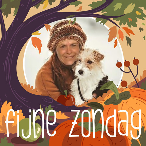 pixiz 05 10 2024 21 40 36.jpg