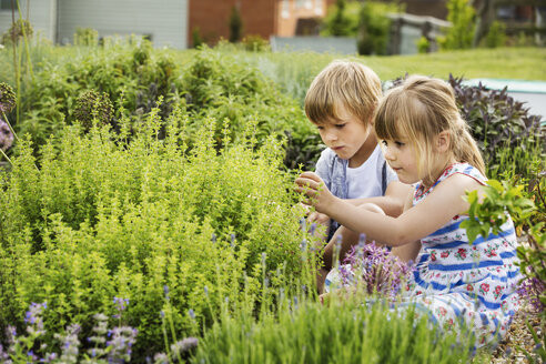 boy and girl kneeling side by side by a shrub in a garden MINF04417.jpg