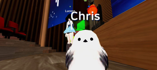 imagen.jpg