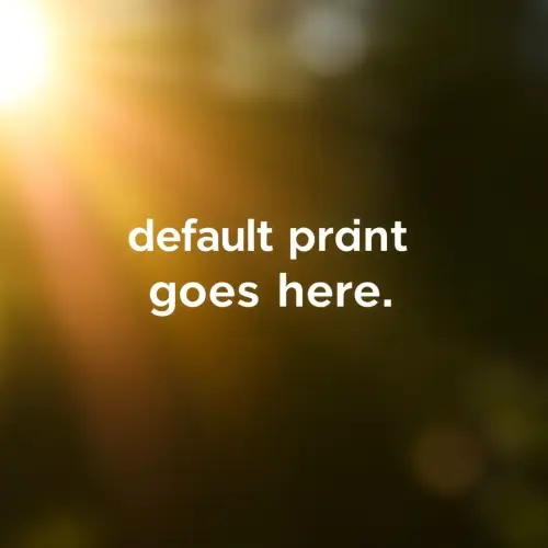 99791114888225123310023345939124.webp