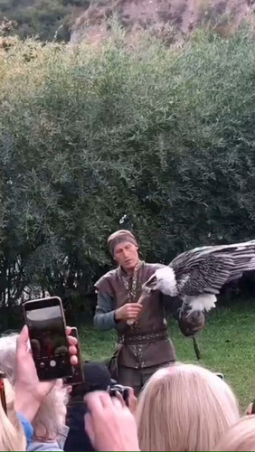 HrzuzRirMpSxzin9.jpg