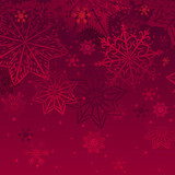 240 F 304991617 8bY2P4XKZ85BJy1yzw7TUzmm3Ysjg5Df