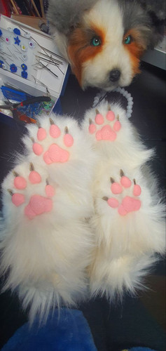 1728219205 1622262728.jpg