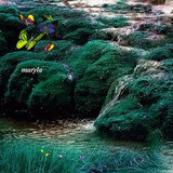 6155be4e93e22ad99730a9d1854a3e30