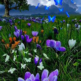 cd5fb22f28d6fe63ff8b1dd3ab4f7e9d