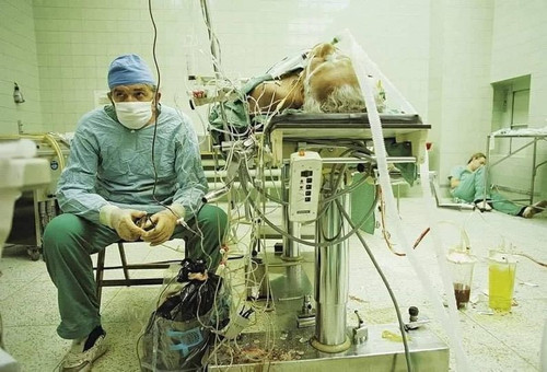 462269012 1060816319194140 8839304183755810324 n.jpg?stp=dst jpg p180x540& nc cat=104&ccb=1 7& nc si.jpg