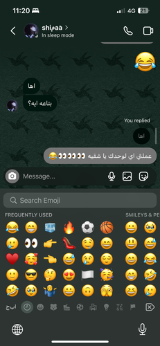 IMG 0416.png