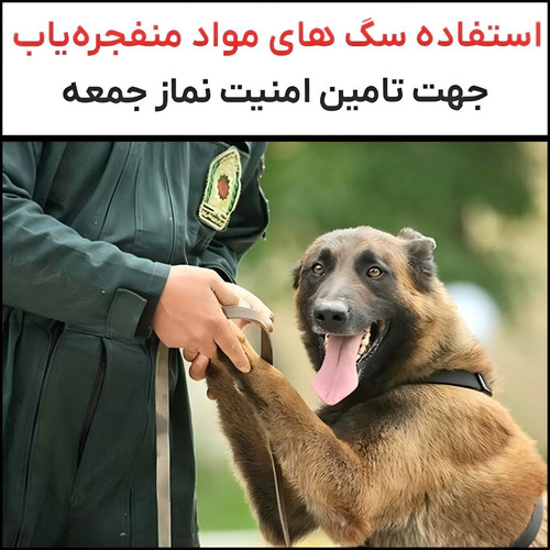 GY zRhXXoAAD YA?format=jpg.jpg