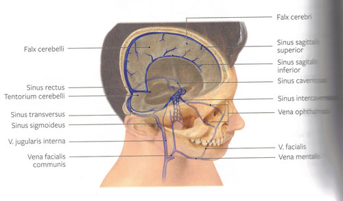 dcede68329cd.jpg